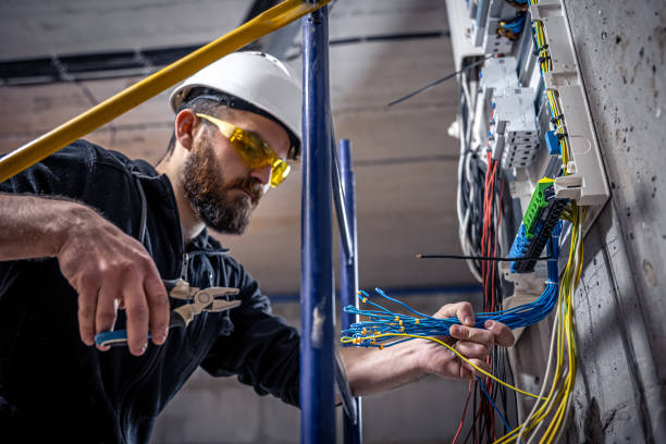 Best Electric Panel Repair  in Barnhart, MO